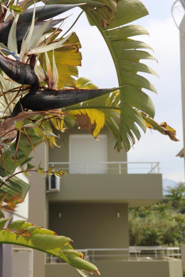 Kamares Apts - Antonis Cozy Maisonette La Canea Exterior foto